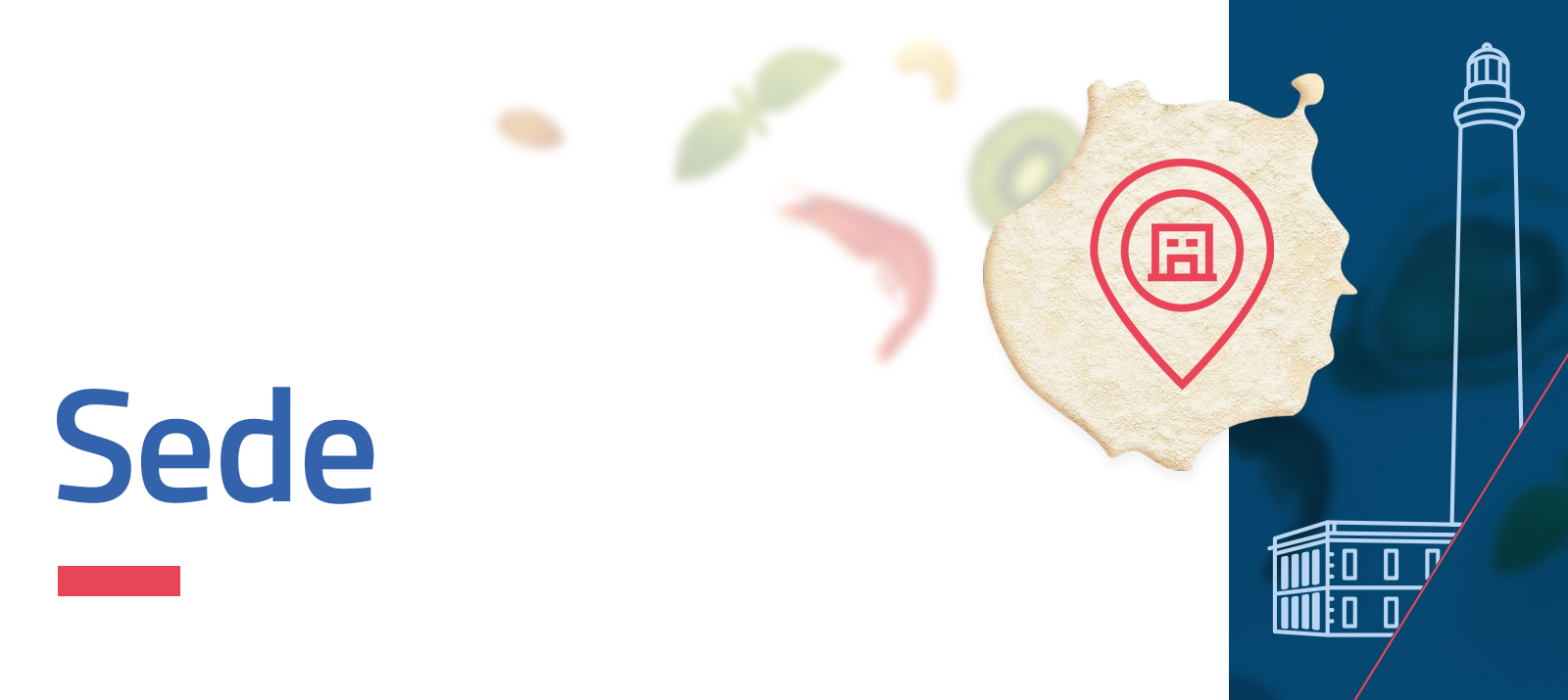 Sede